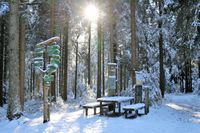 winter-forest-4829915_1280